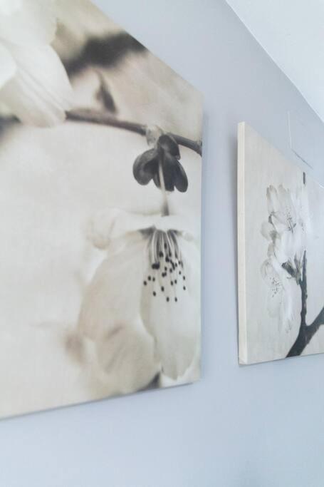 Pasquin Apartment Cadiz Luaran gambar